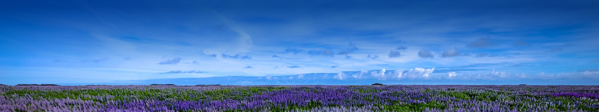 马鞍山丁家山陵园